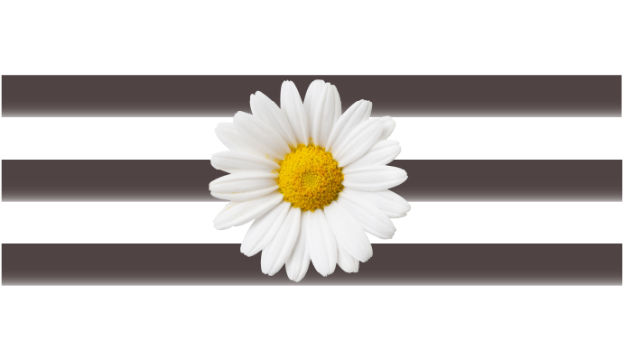 Margritenhof Immobilien